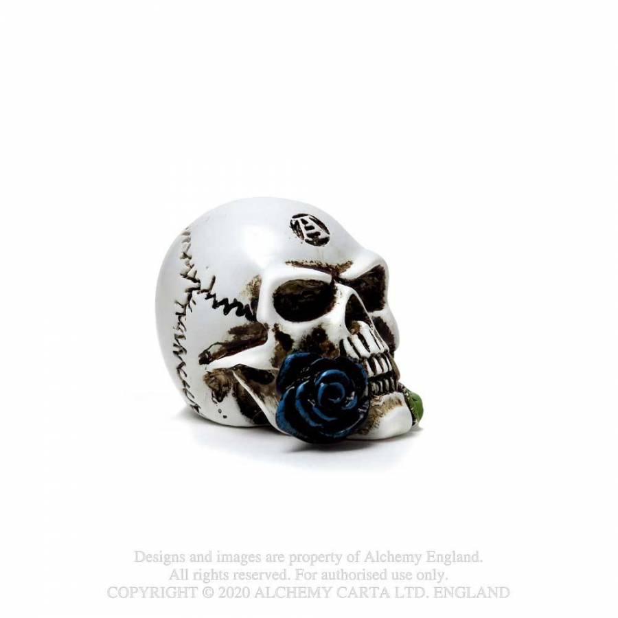Alchemist Skull: Miniature(Alchemy Gothic)