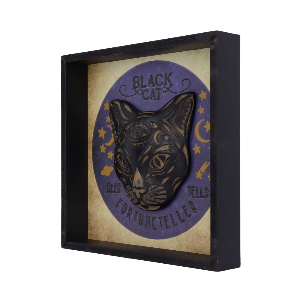 Black Cat Fortune Teller Picture