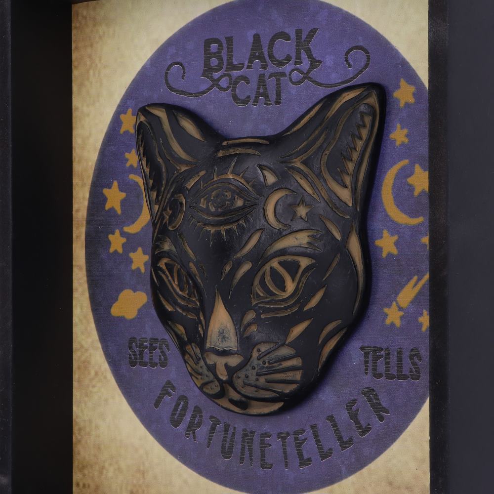 Black Cat Fortune Teller Picture