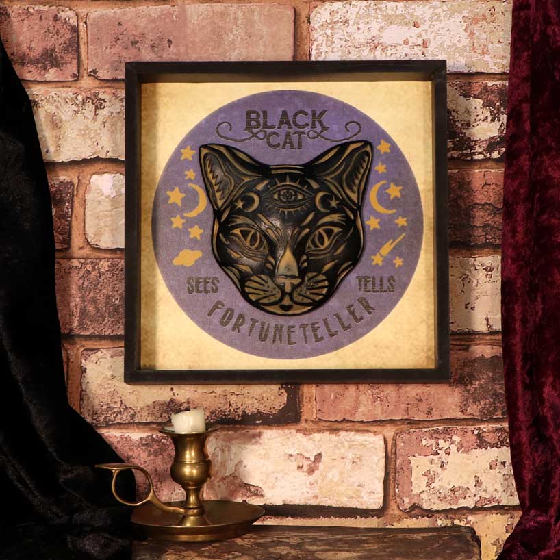 Black Cat Fortune Teller Picture