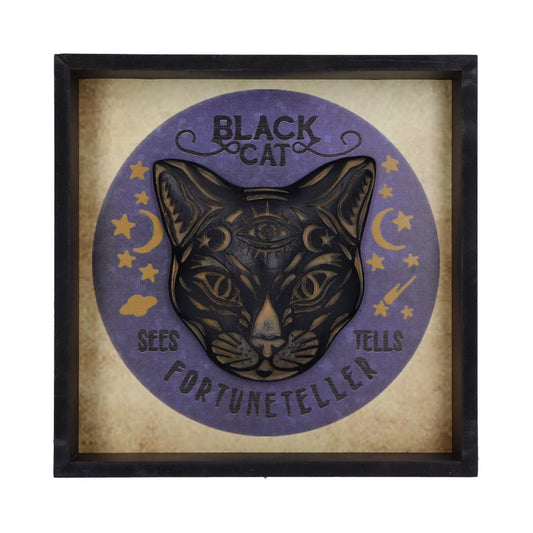 Black Cat Fortune Teller Picture