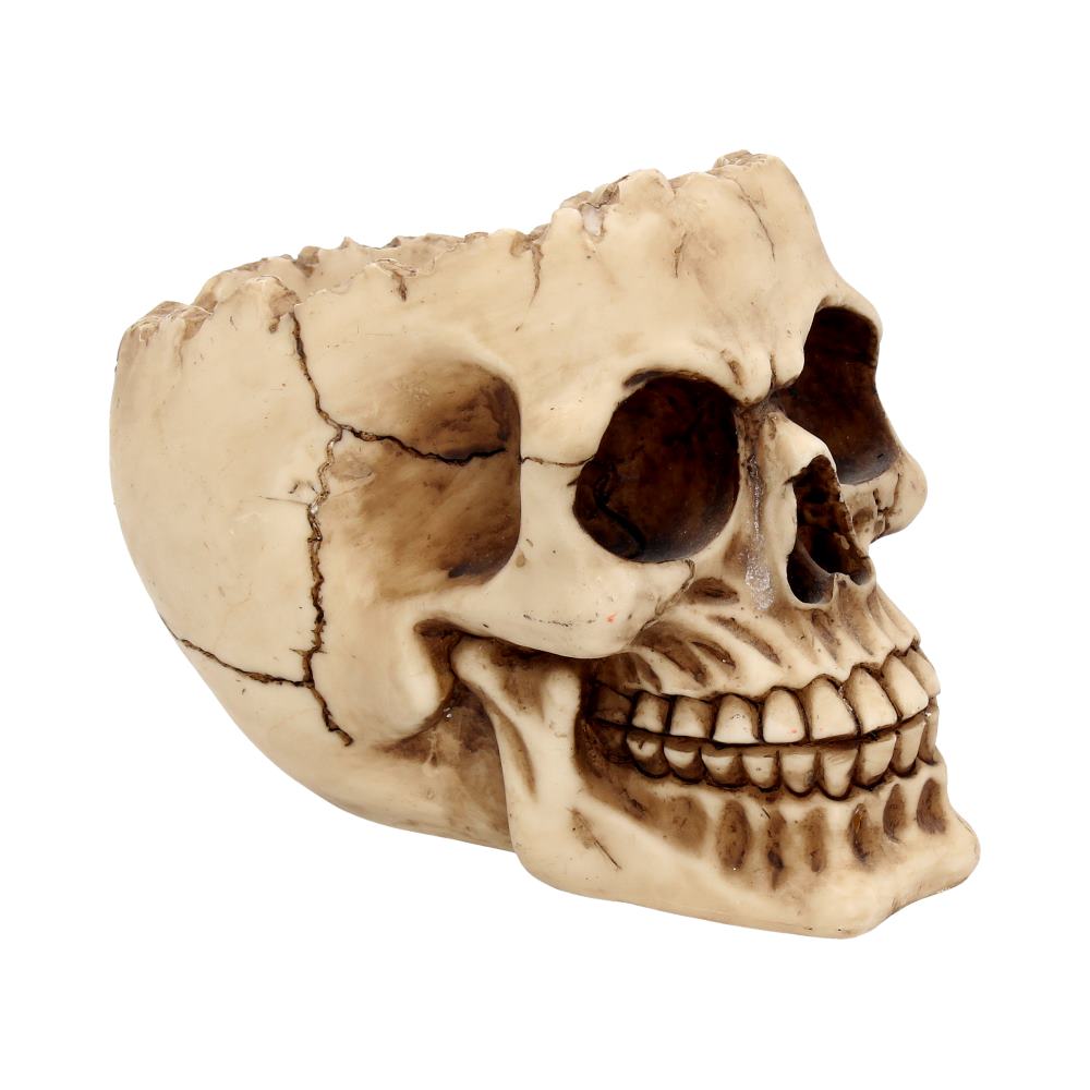 Lobo Skull 14.5cm