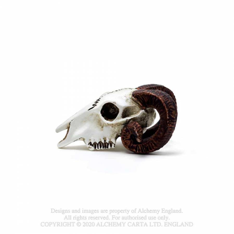 Rams Skull: Miniature(Alchemy Gothic)