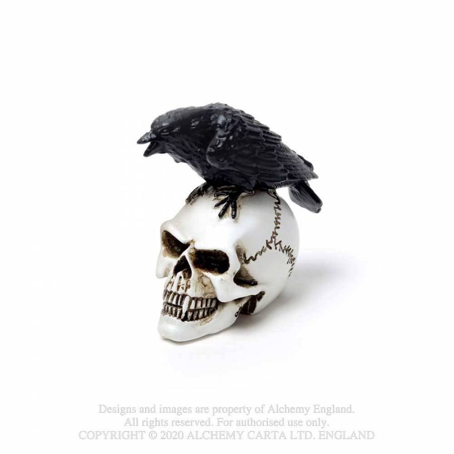 Raven Skull: Miniature(Alchemy Gothic)
