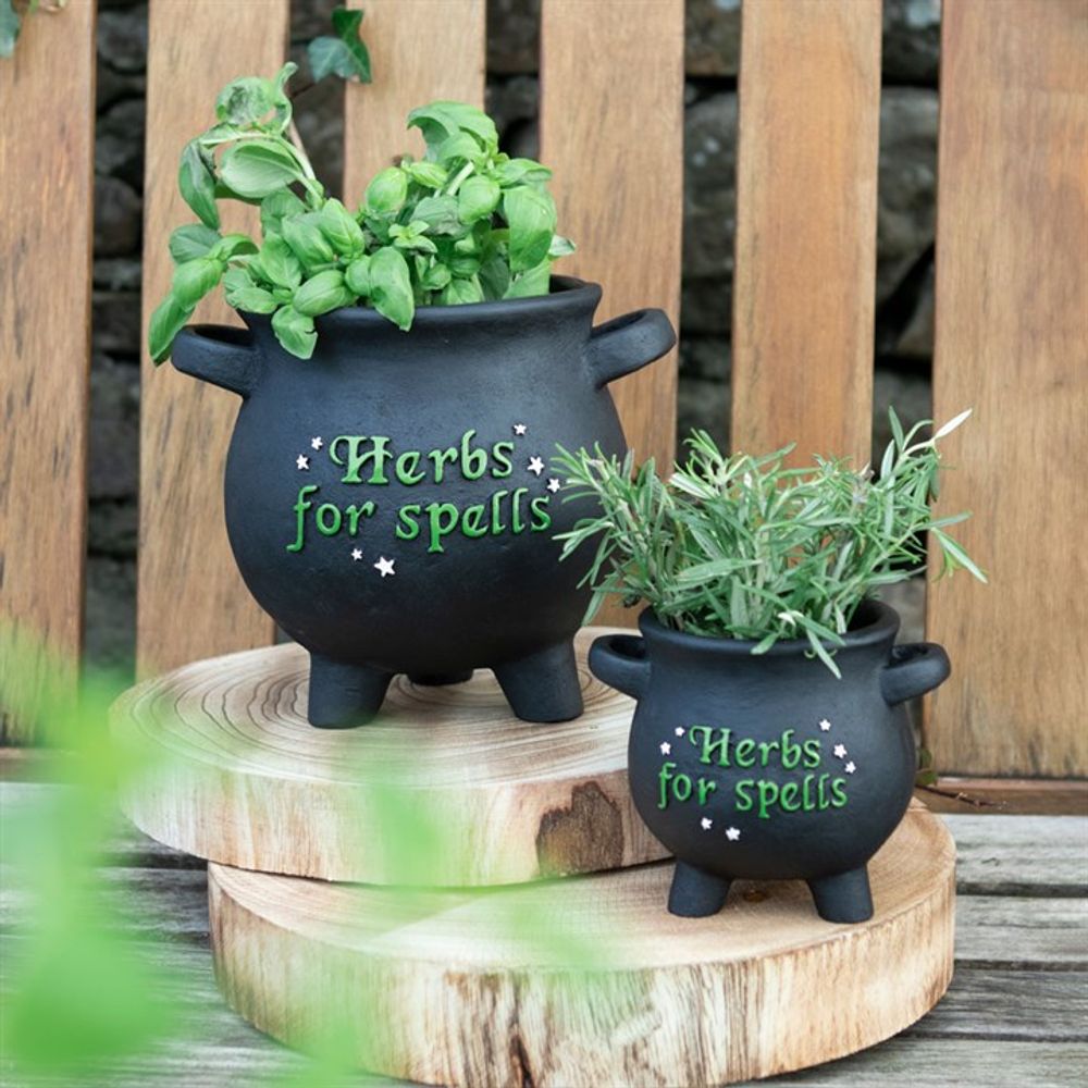 Small Herbs For Spells Cauldron Plant Pot
